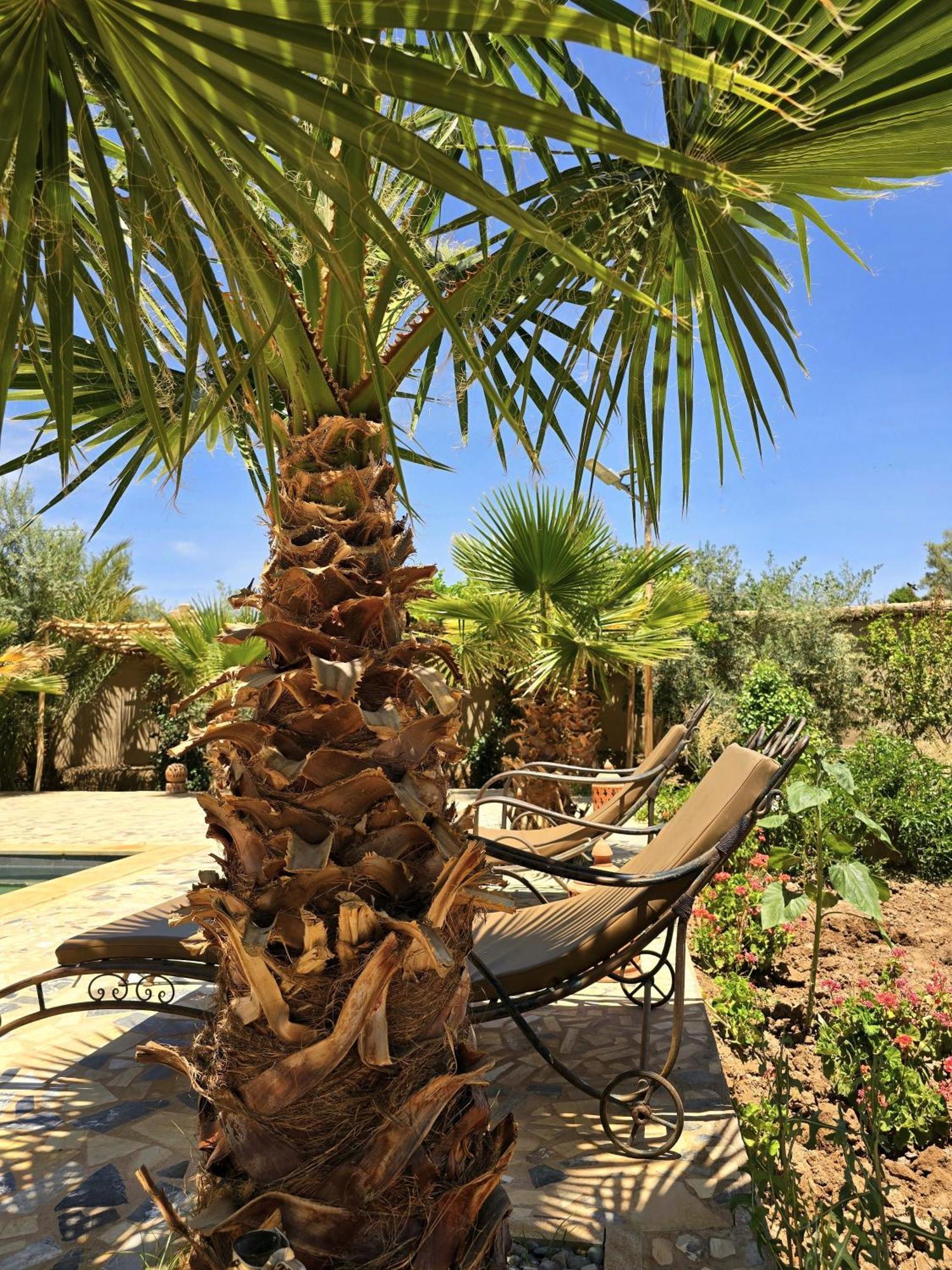 Riad Aman Скура Екстериор снимка