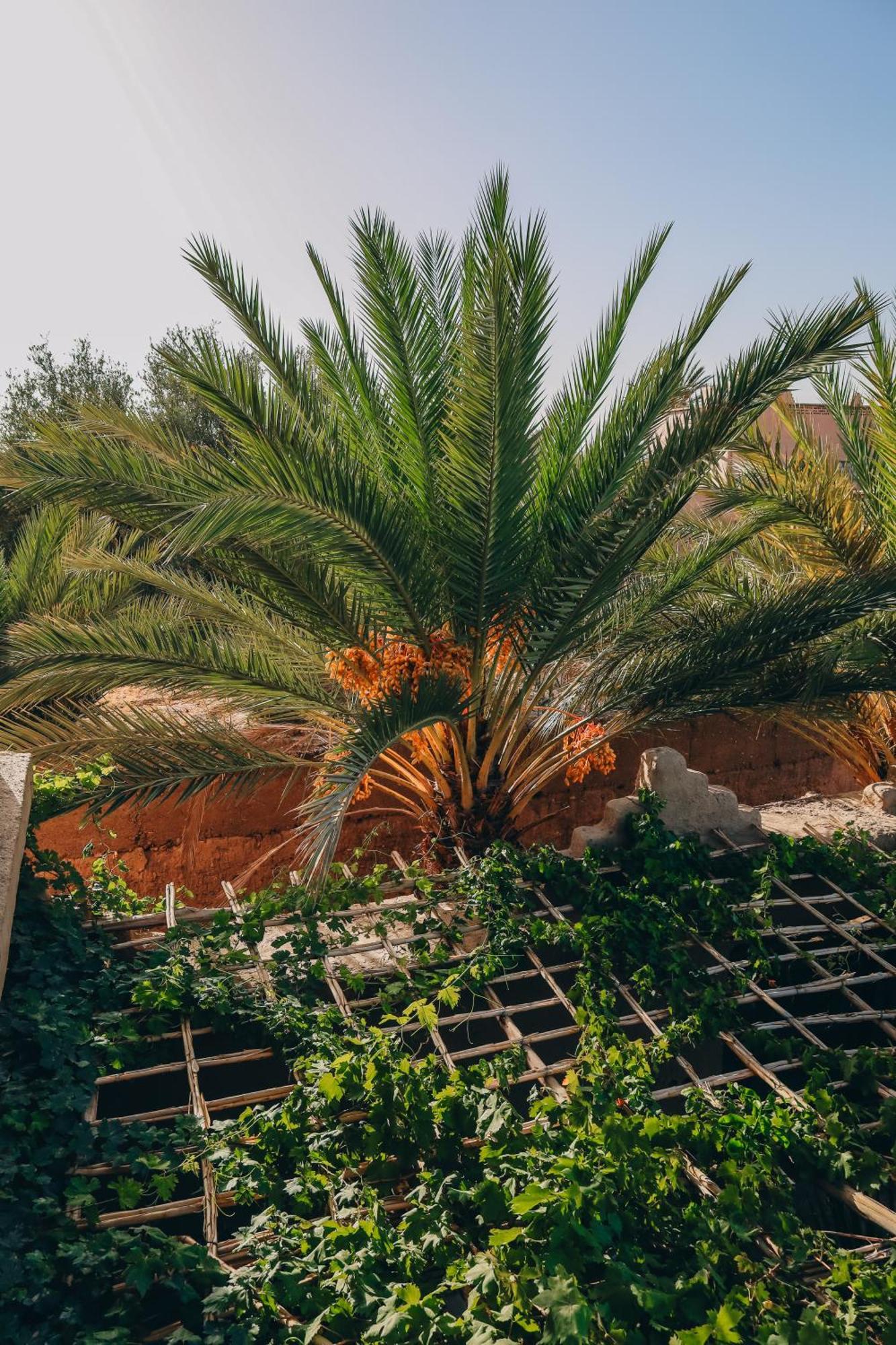 Riad Aman Скура Екстериор снимка